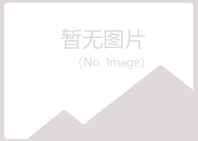 安阳北关夜山咨询有限公司